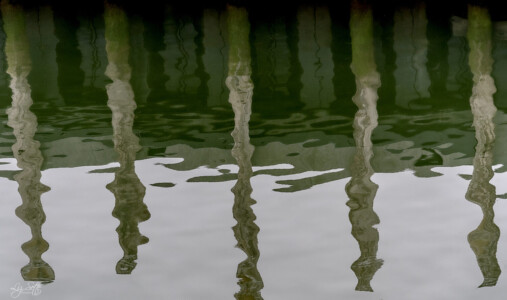 Symmetry